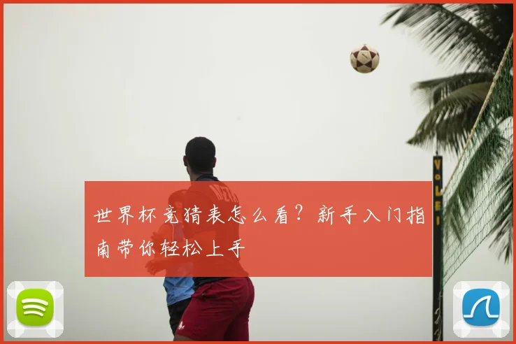 世界杯竞猜表怎么看?新手入门指南带你轻松上手