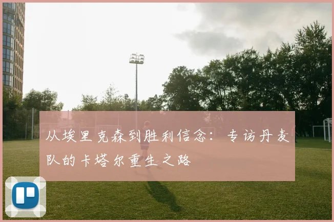 从埃里克森到胜利信念：专访丹麦队的卡塔尔重生之路