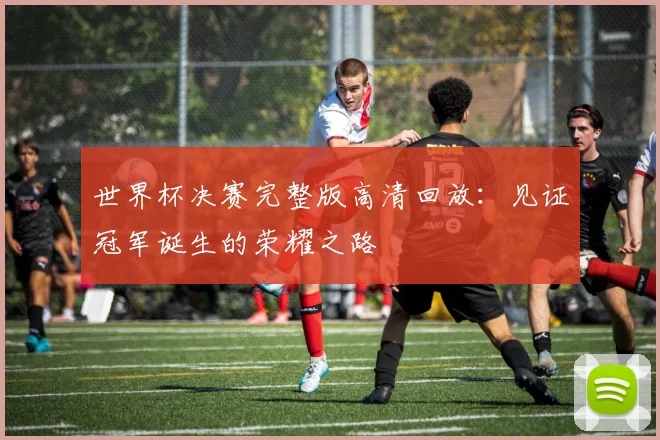 世界杯决赛完整版高清回放：见证冠军诞生的荣耀之路