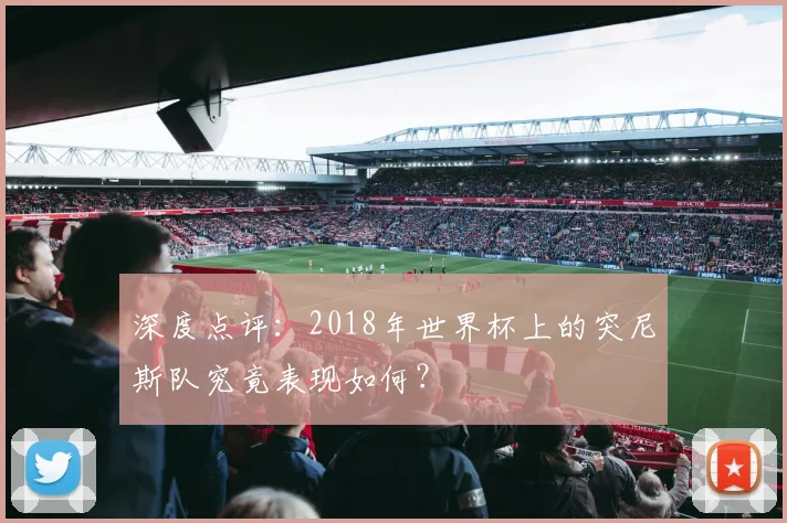 深度点评：2018年世界杯上的突尼斯队究竟表现如何？