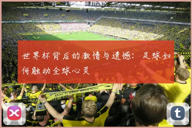 世界杯背后的激情与遗憾：足球如何触动全球心灵